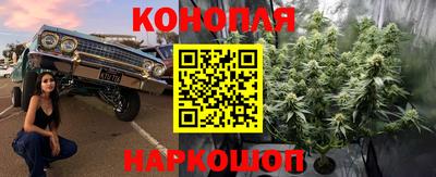ГАЛЛЮЦИНОГЕННЫЕ ГРИБЫ Гусь-Хрустальный