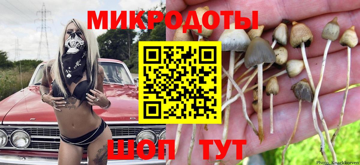 Галлюциногенные грибы MAGIC MUSHROOMS Губкин