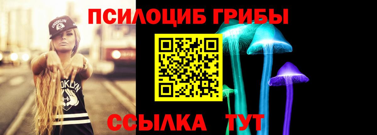 Губкин  Галлюциногенные грибы прущие грибы  Вход с VPN  Псилоцибиновые грибы MAGIC MUSHROOMS 