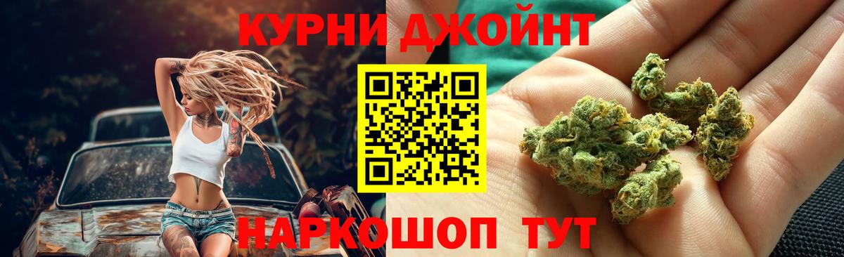 Губкин  Конопля сатива  Вход с VPN  Бошки Шишки тримм 